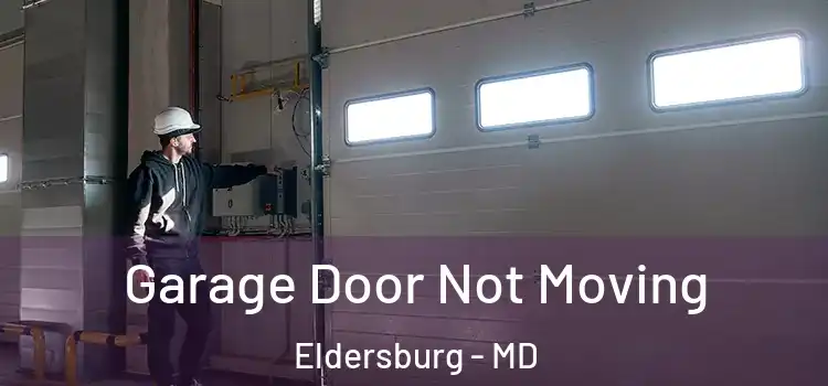  Garage Door Not Moving Eldersburg - MD