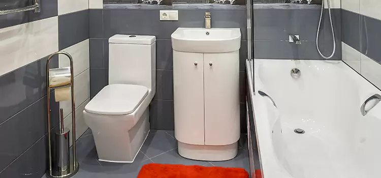 Hansgrohe Shaving Mirror Eldersburg